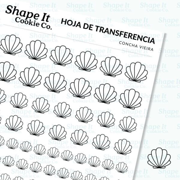 Scalloped Shell Transfer Sheet - Image 3